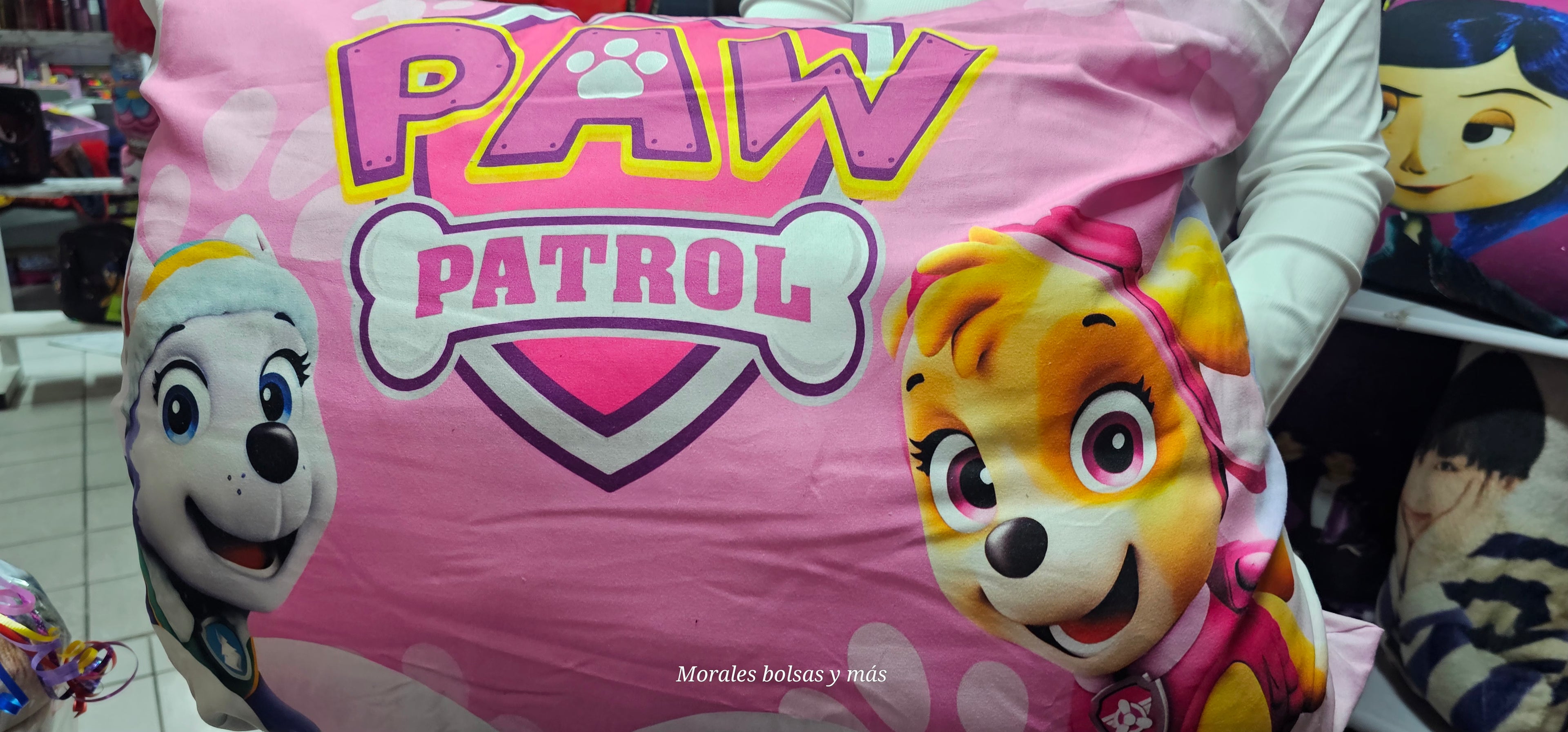 Sky pawpatrol almohada