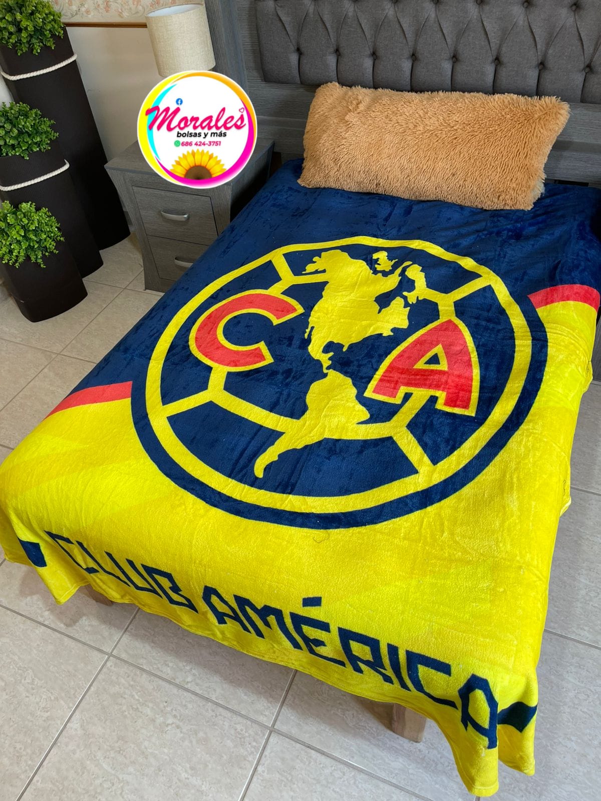 América fraz matrimonial