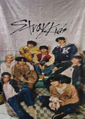 Stray kids viajera