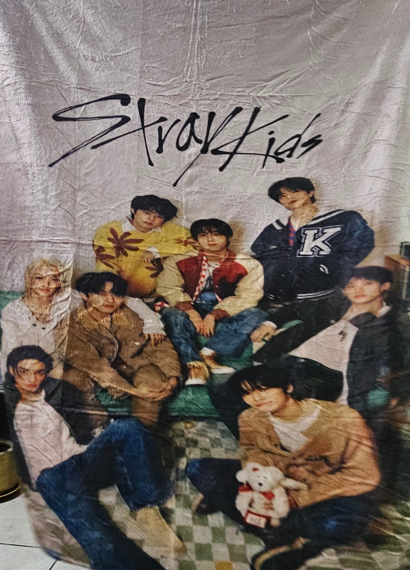 Stray kids viajera
